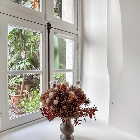 Oasis Calme En Plein Centre De Apartamento